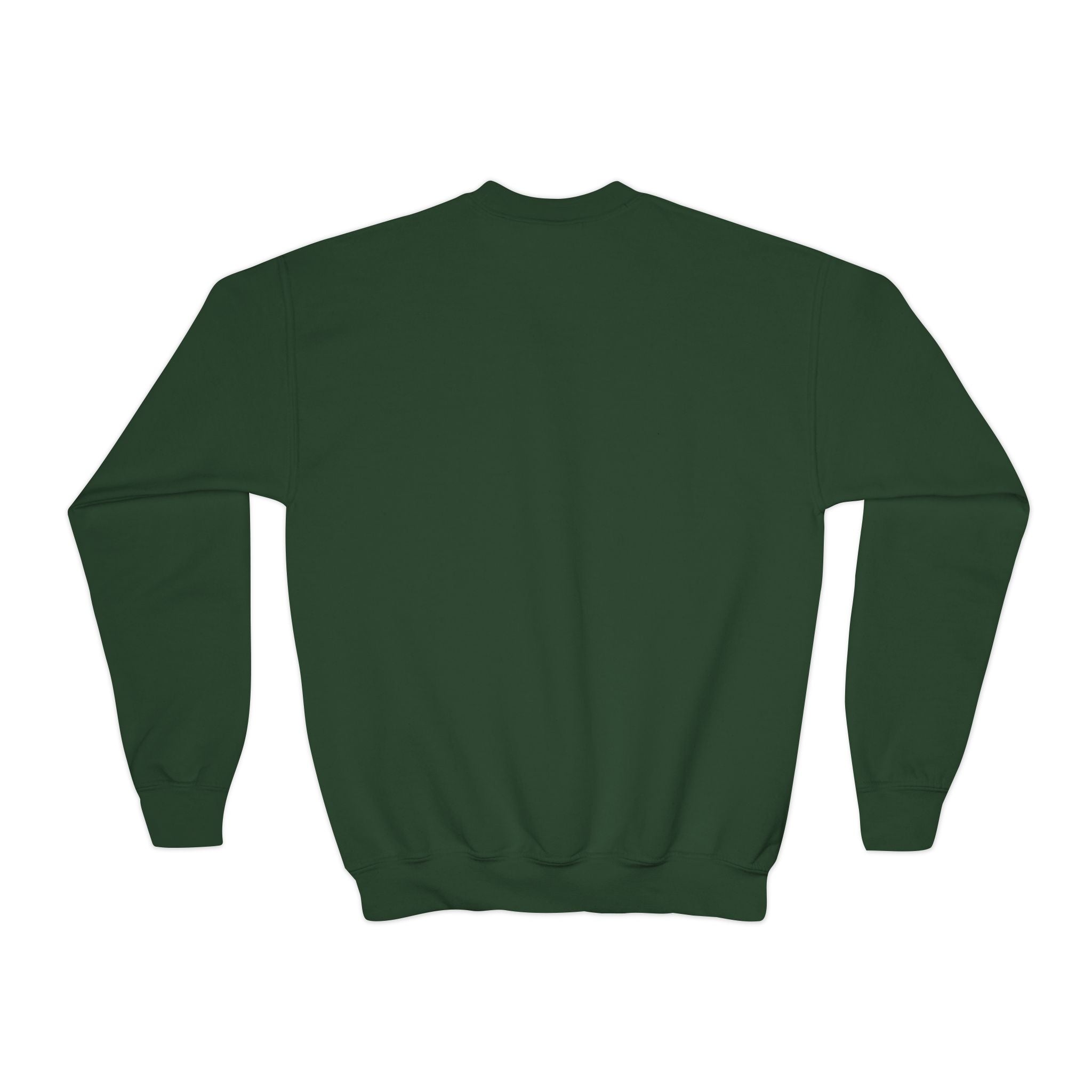 Youth UNISEX Crewneck Sweatshirt