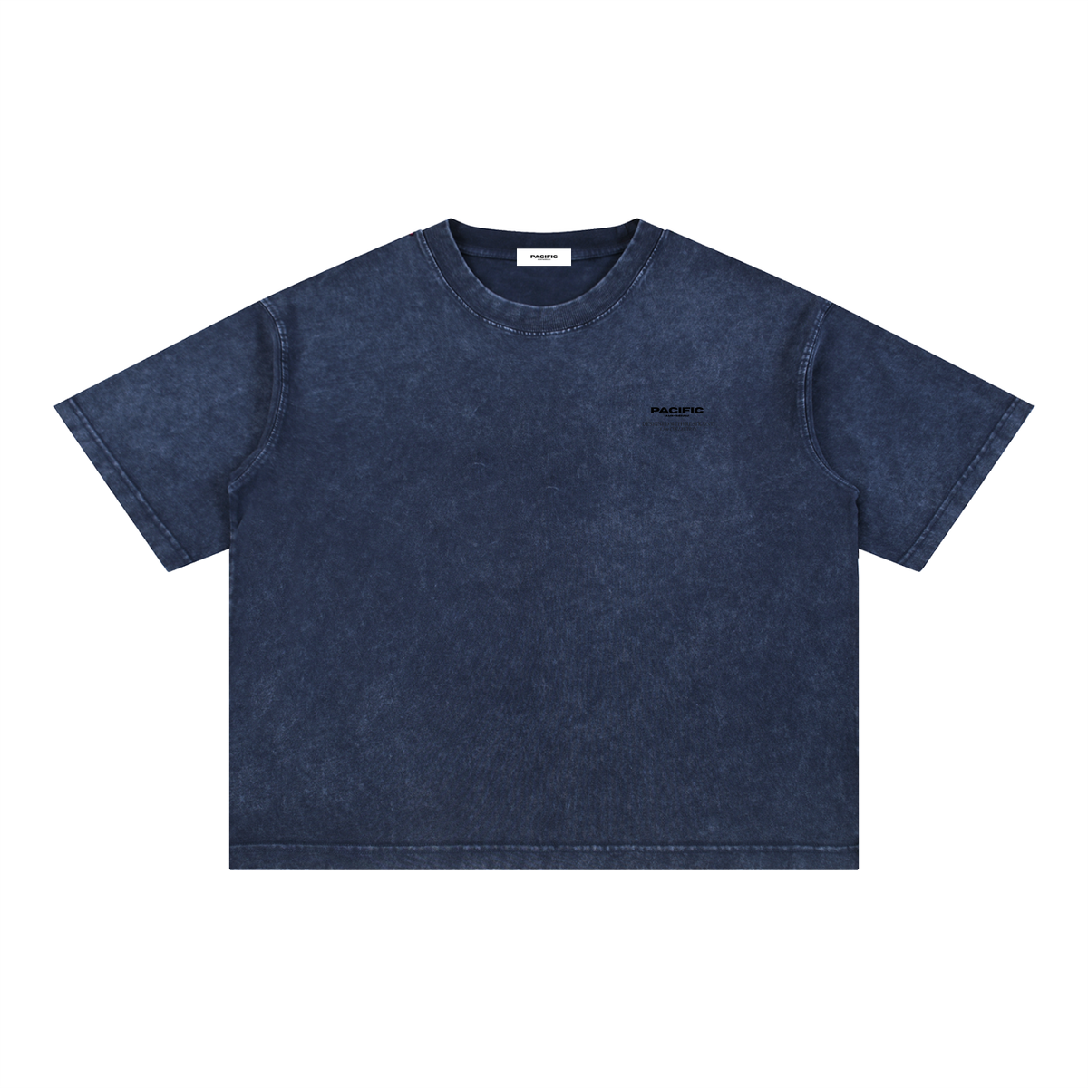 Pacific Washed Tee [Core]