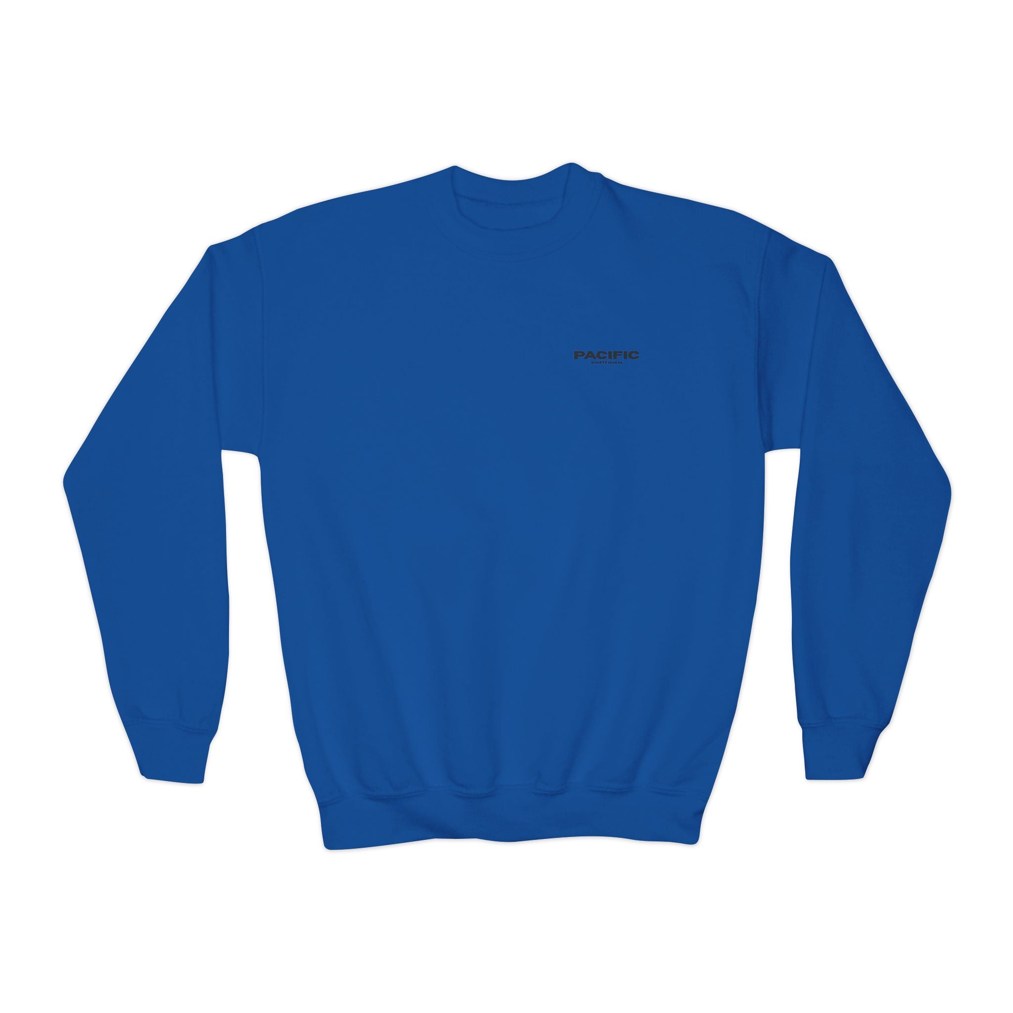 Youth UNISEX Crewneck Sweatshirt