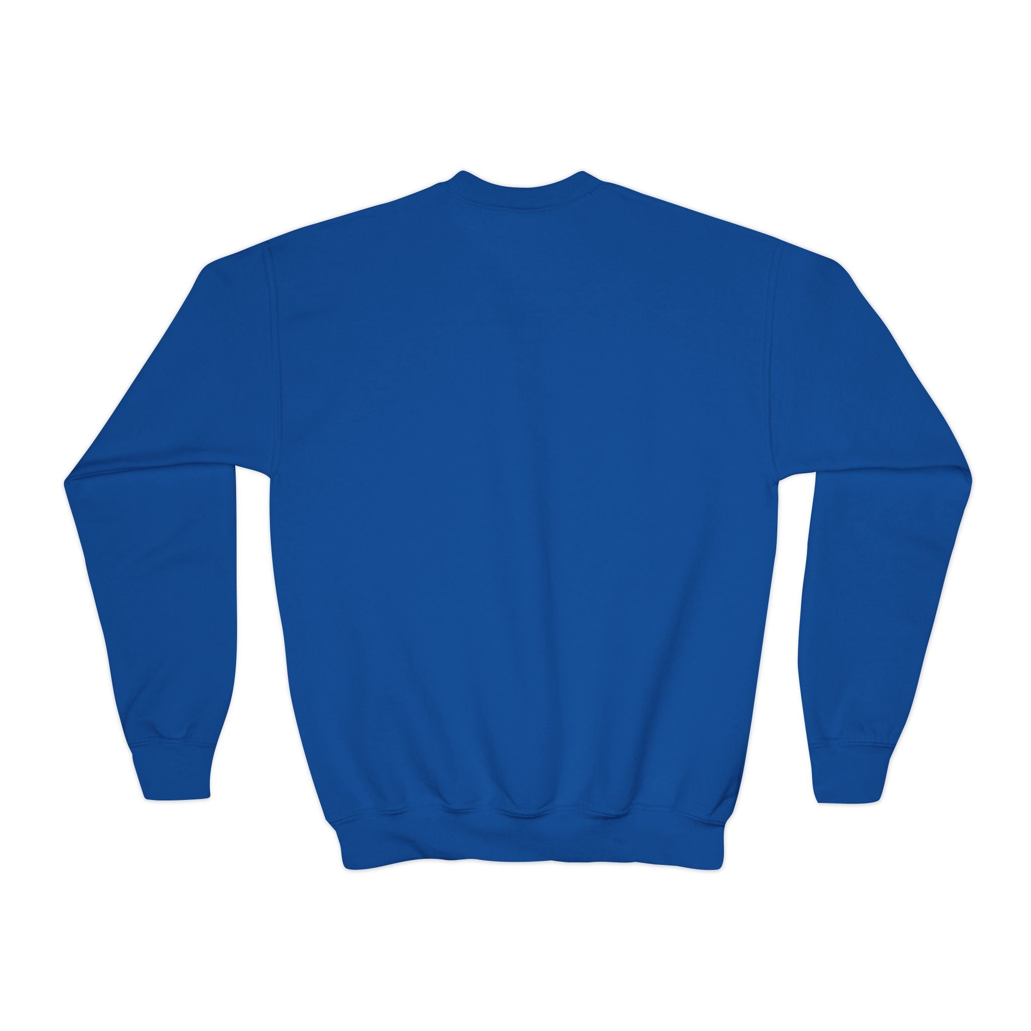 Youth UNISEX Crewneck Sweatshirt