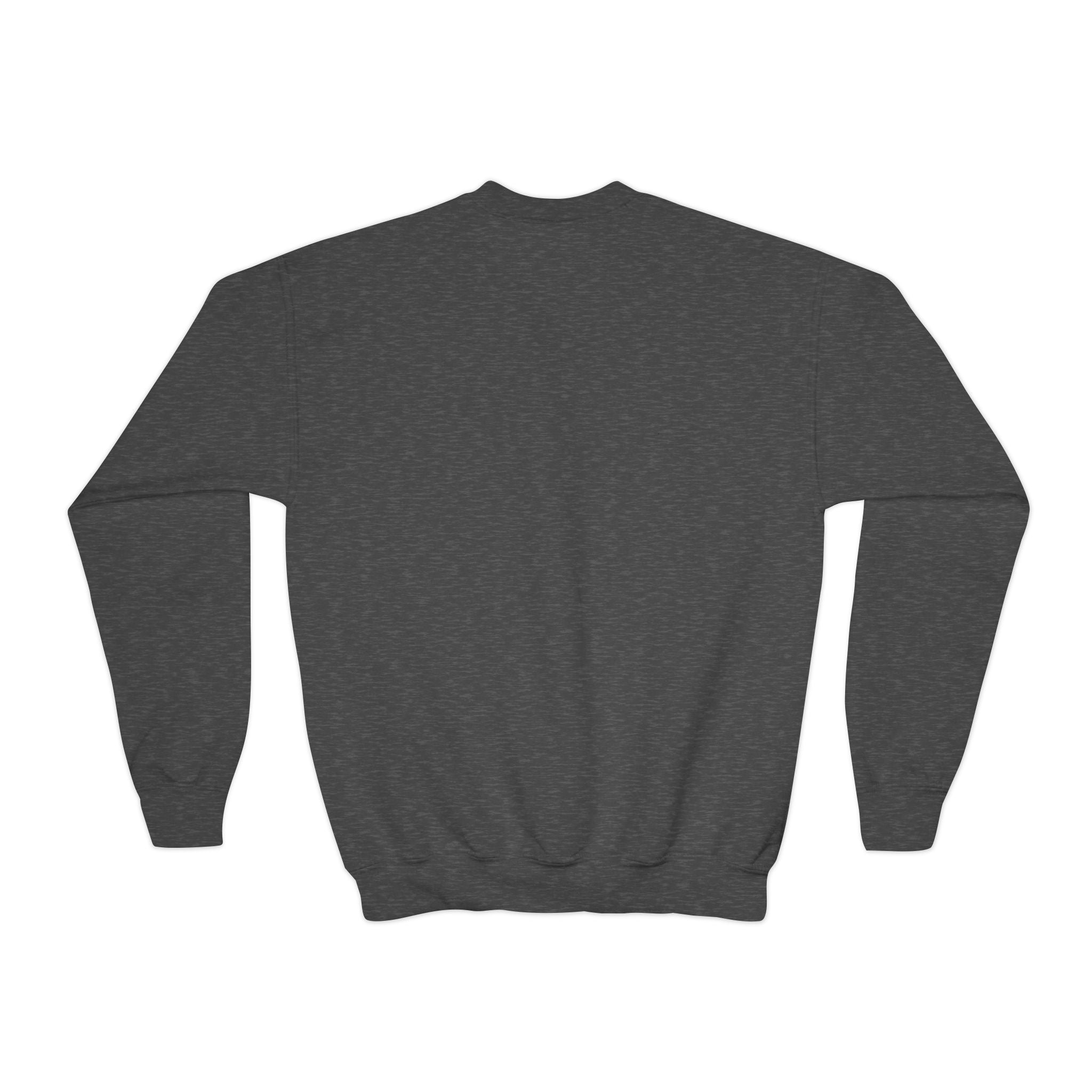 Youth UNISEX Crewneck Sweatshirt