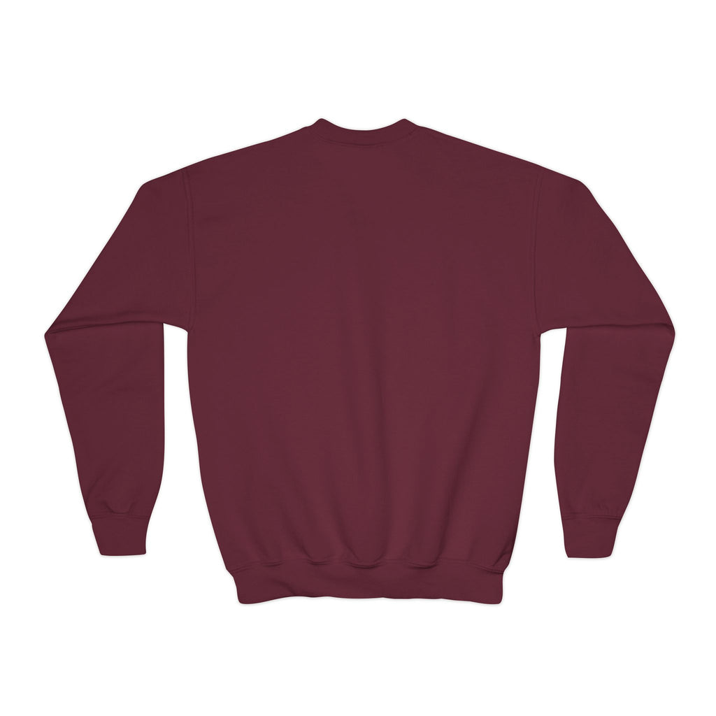 Youth UNISEX Crewneck Sweatshirt