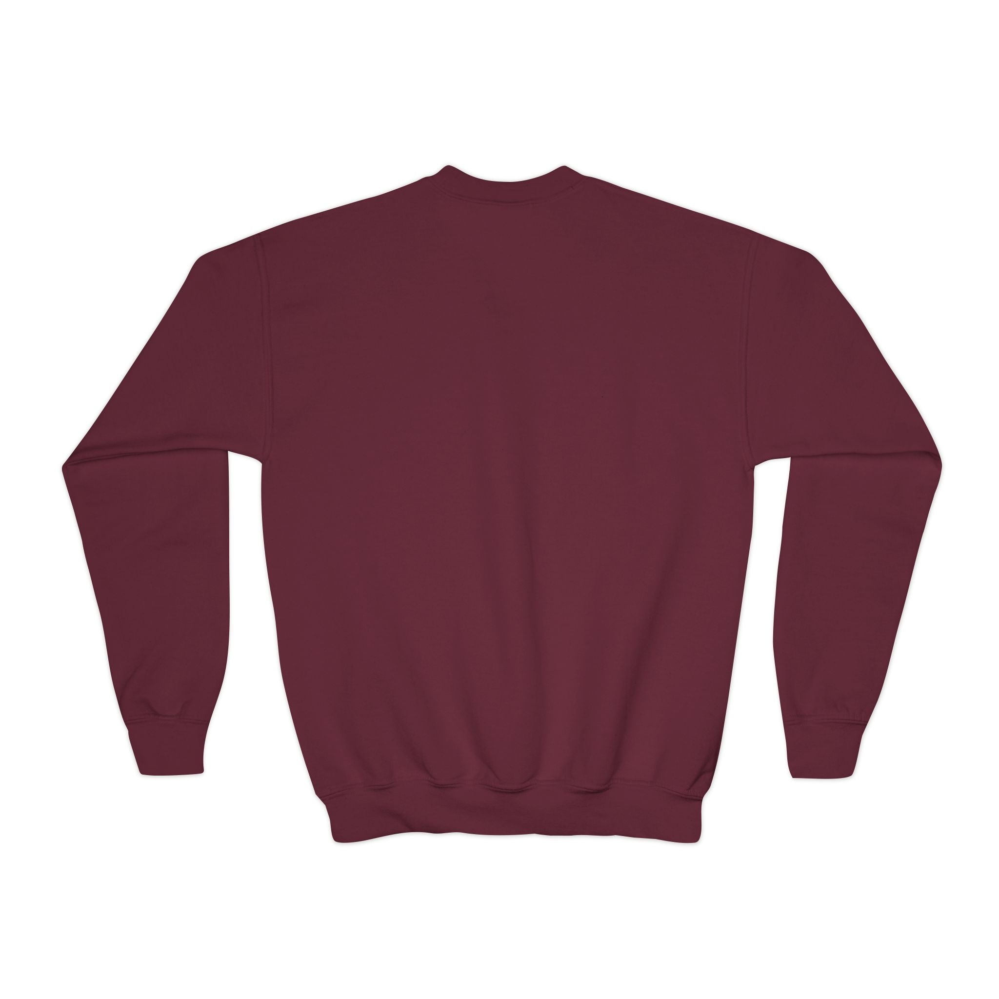 Youth UNISEX Crewneck Sweatshirt