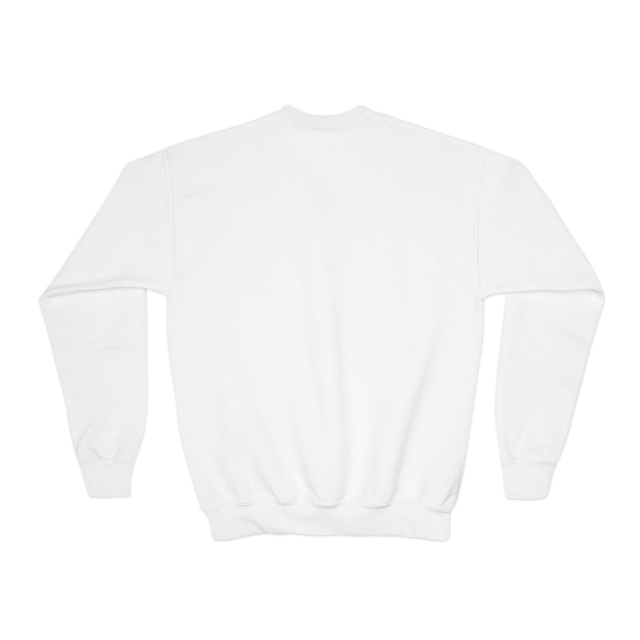 Youth UNISEX Crewneck Sweatshirt
